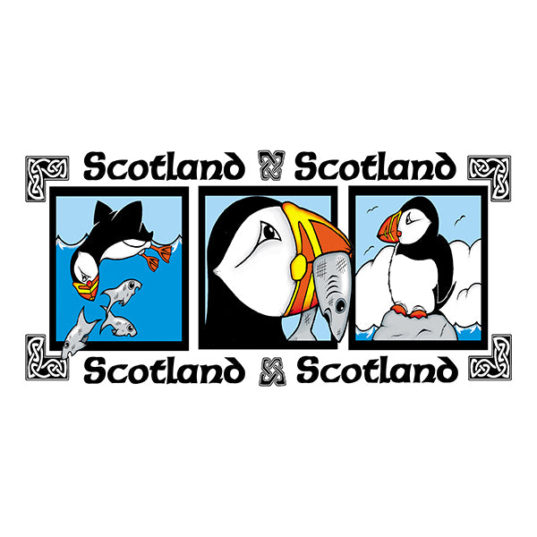 0776 - 3 pic puffin