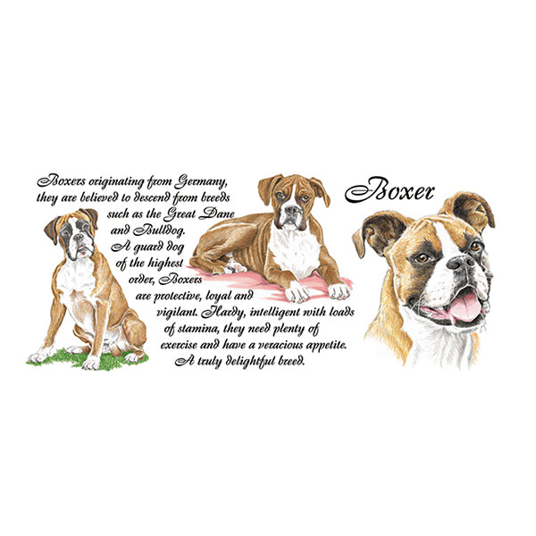0438 - Boxer