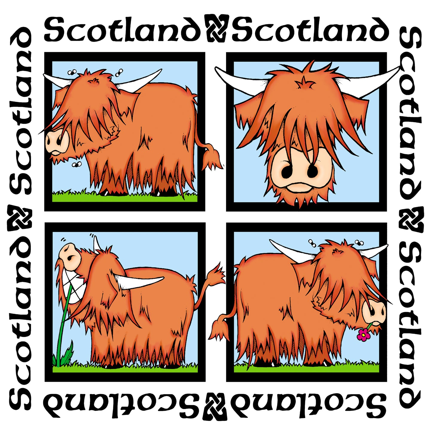 0782 - Cow 4 pic