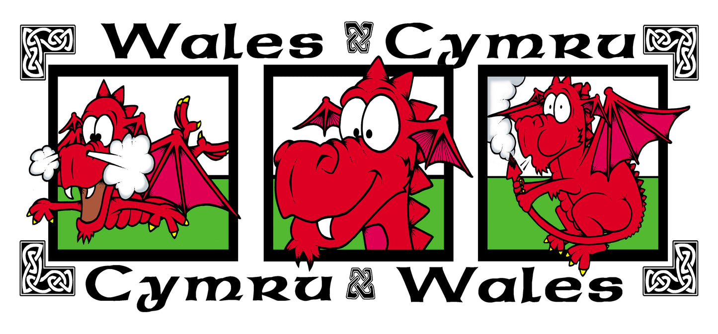 0419 - Dragon Pic