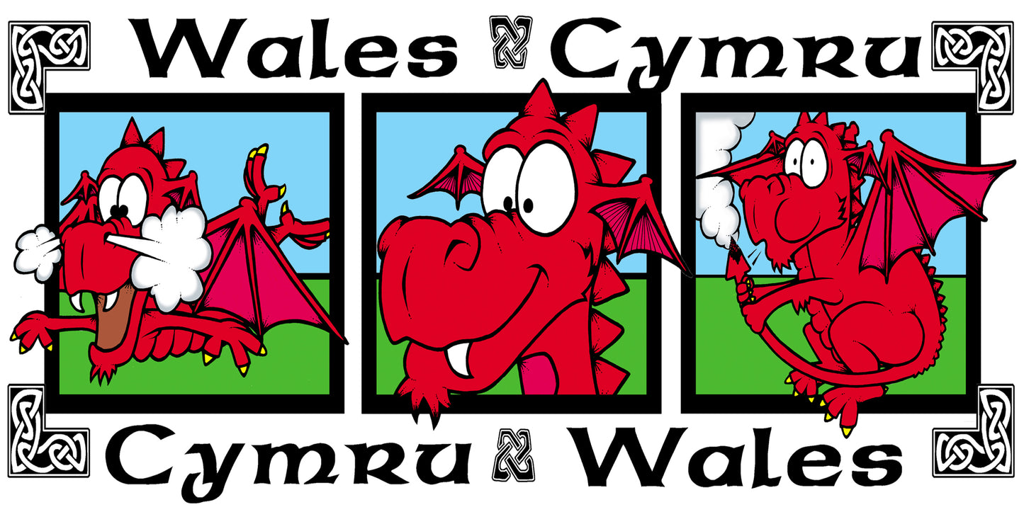0504 - Dragon Pic