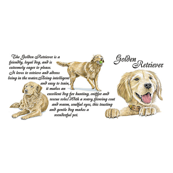 0446 - Golden Retriever