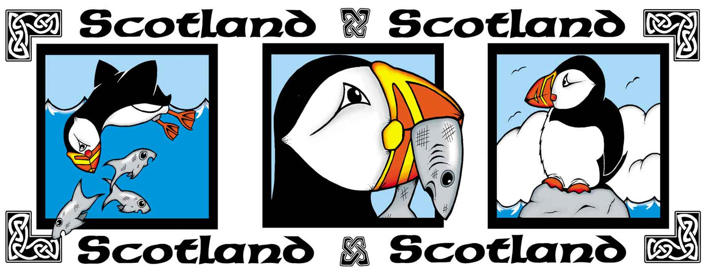0477 - Puffin 3 Pic
