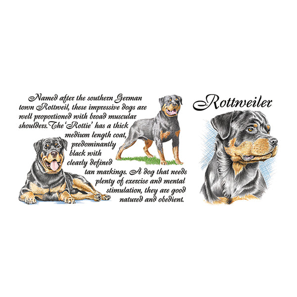 0451 - Rottweiler