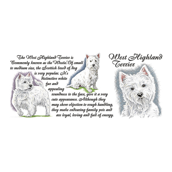 0455 - West Highland Terrier