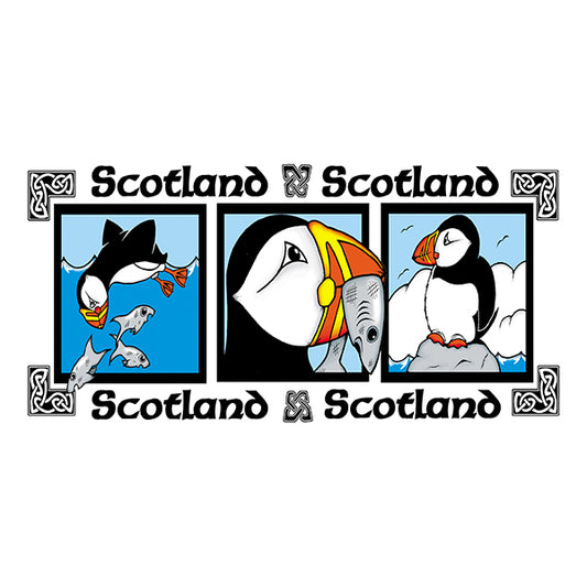 0776 - 3 pic puffin