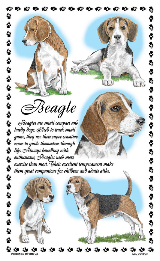 0369 - Beagle Tea Towel