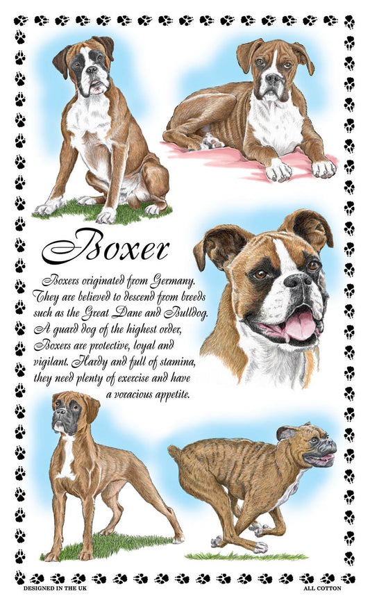 0373 - Boxer Tea Towel