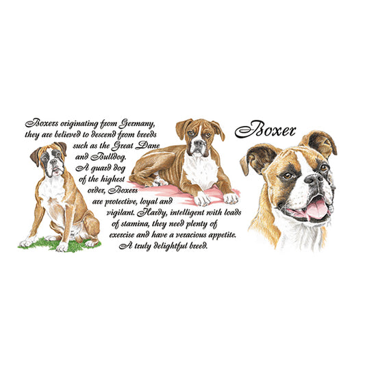 0438 - Boxer