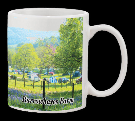 Burrow Hayes