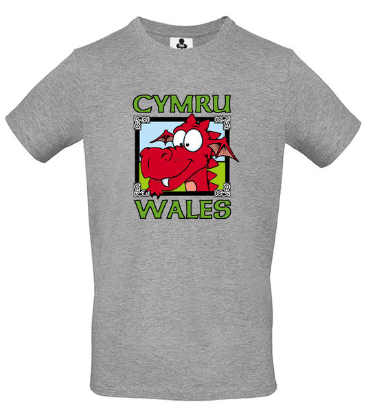 0131 - Dragon Pic (Grey)