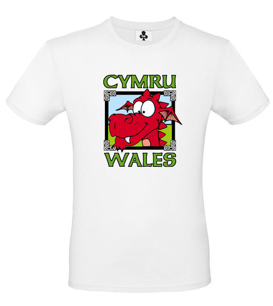 0131 - Dragon Pic (White)