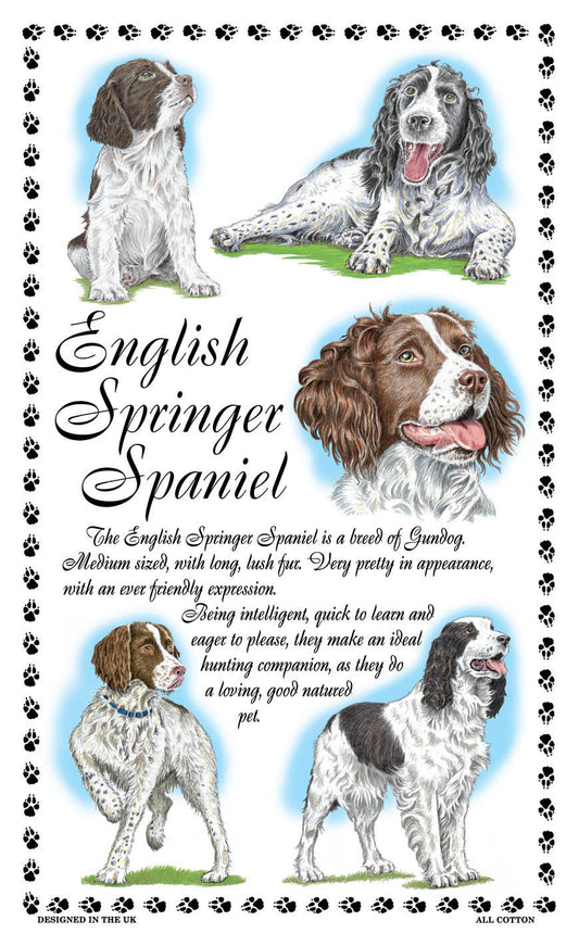 0378 - English Springer Spaniel Tea Towel