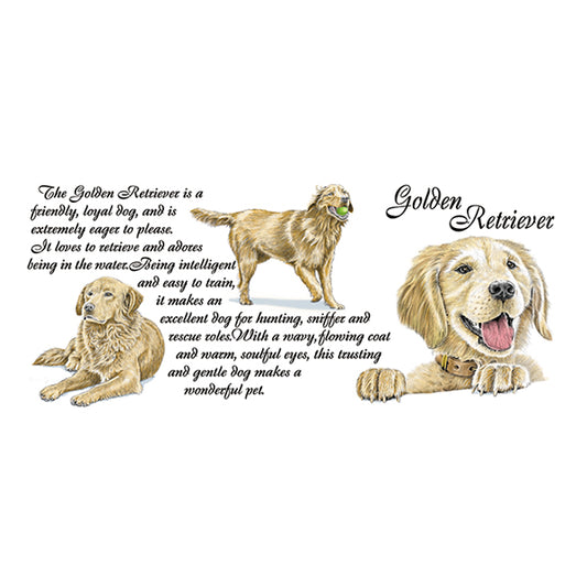 0446 - Golden Retriever