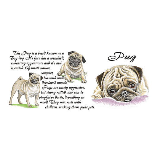 0450 - Pug