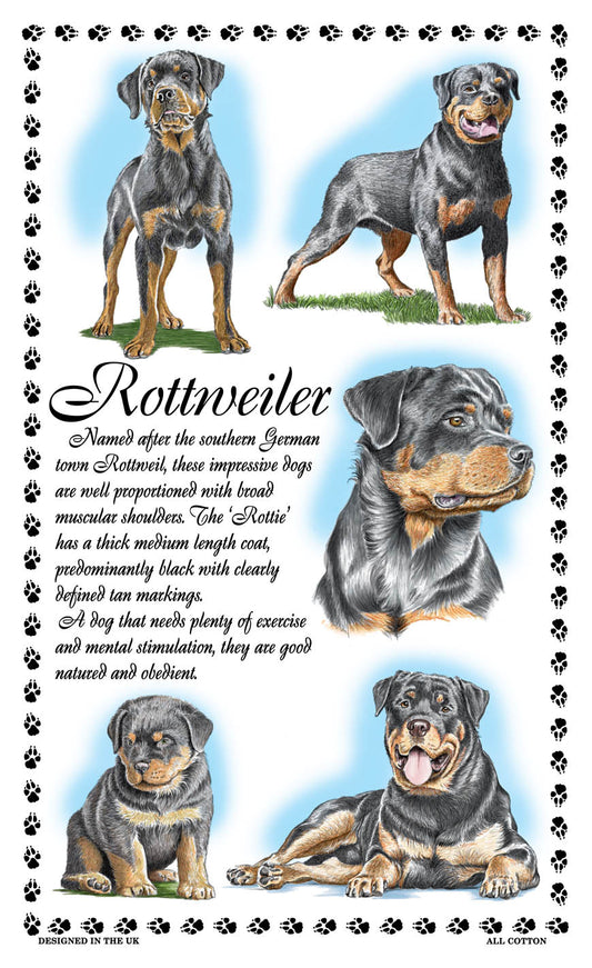 0386 - Rottweiler Tea Towel