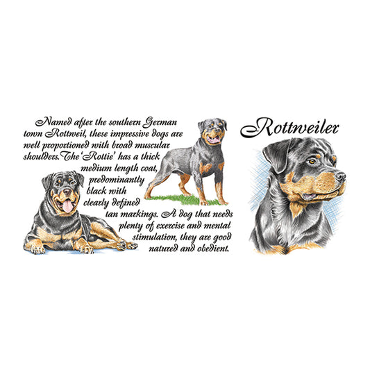 0451 - Rottweiler