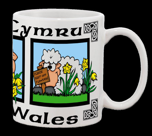 0416 - Sheep Pic