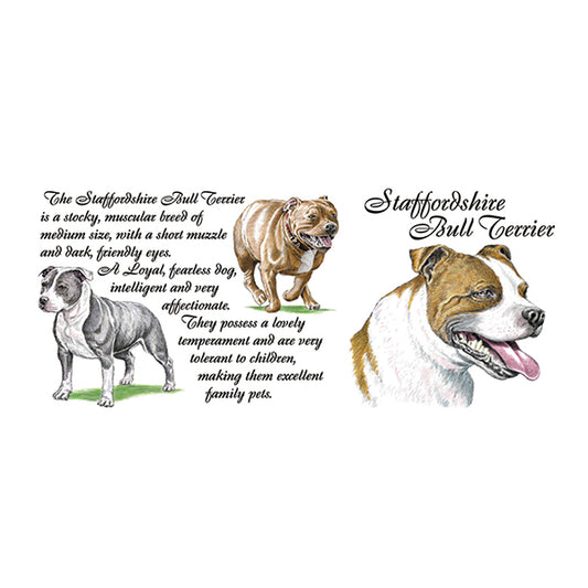 0453 - Staffordshire Bull Terrier