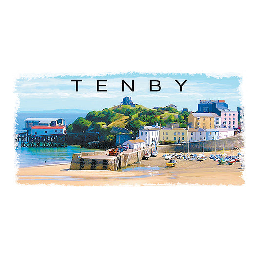 0519 - Tenby Harbour