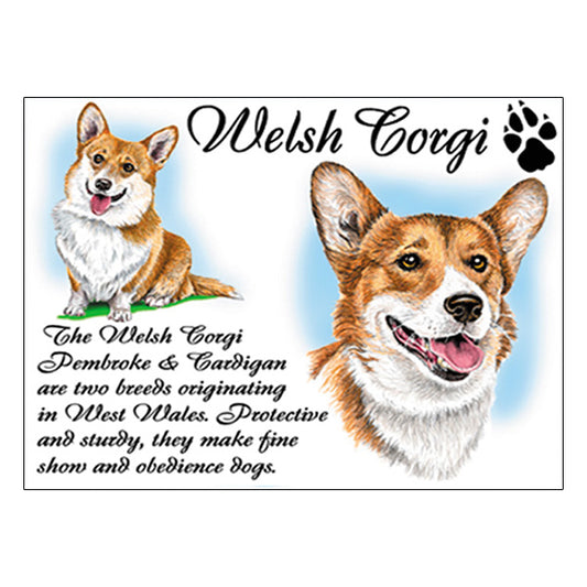 0541 - Welsh Corgi