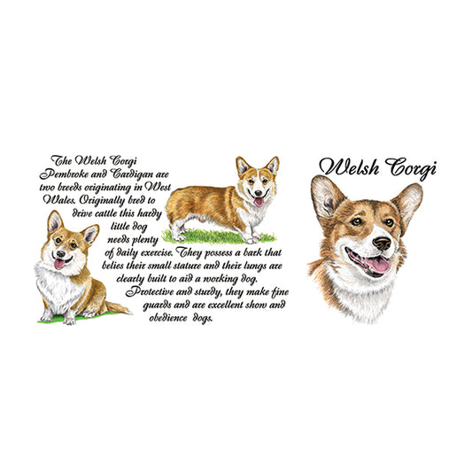 0454 - Welsh Corgi