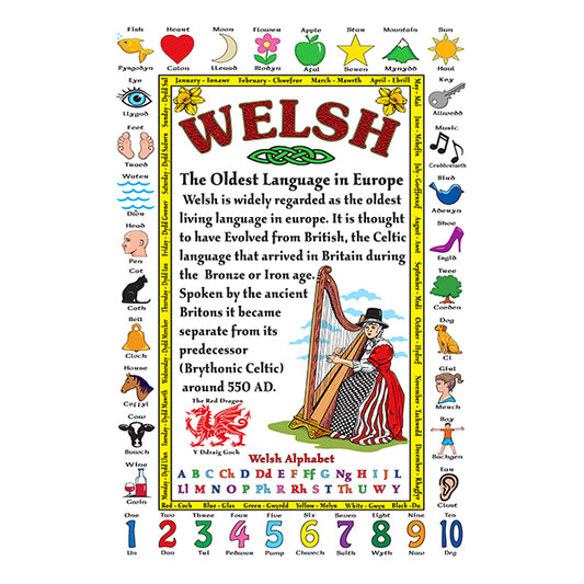 0772 - Welsh Language