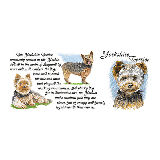 0457 - Yorkshire Terrier