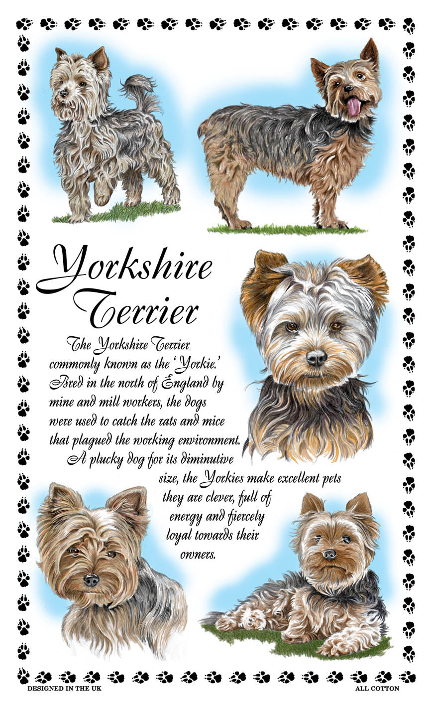 0392 - Yorkshire Terrier Tea Towel