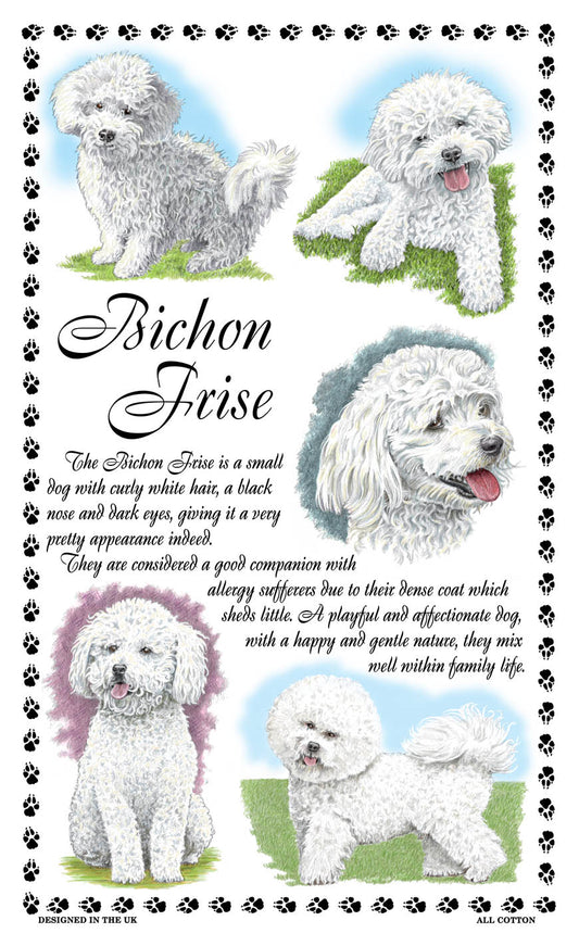 0370 - Bichon Frise Tea Towel