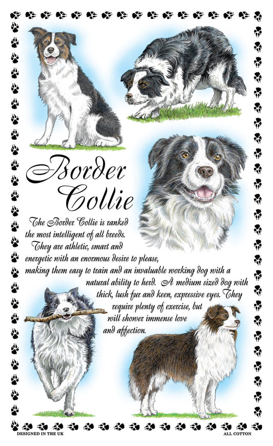 0371 - Border Collie Tea Towel