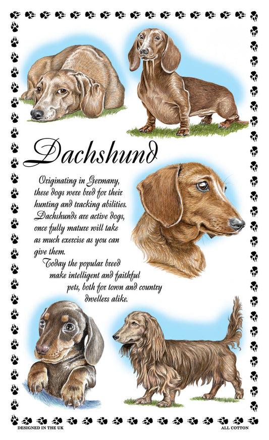 0377 - Dachshund Tea Towel