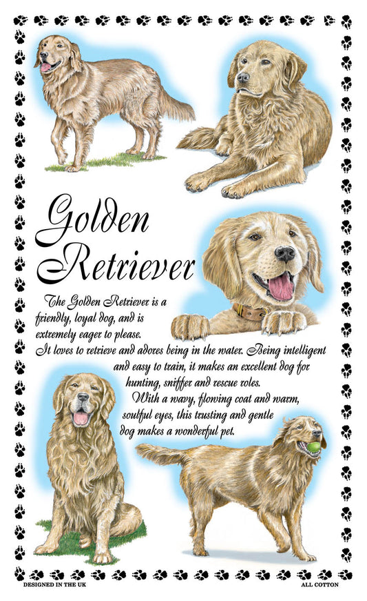 0381 - Golden Retriever Tea Towel