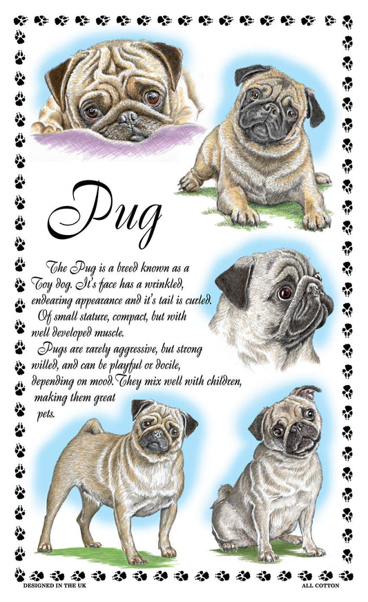 0385 - Pug Tea Towel