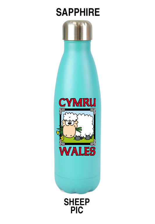 1001 - Sheep Pic